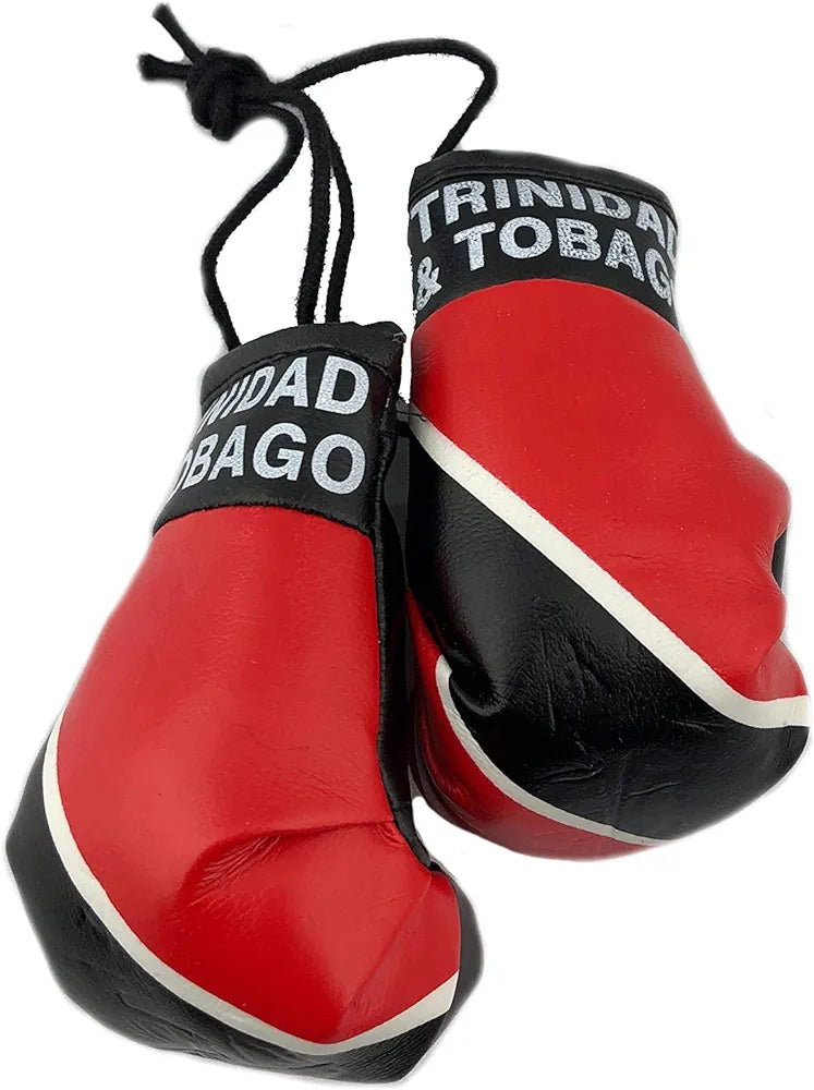 Hanging Car Mirror Mini Boxing Gloves