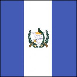 All Country Bandana Flags American Flag / United States of America/ Patriotic USA Flag / Grenada/Panama/LGBTQ/Peru/Guatemala/El Salvador/Guyana/Ecuador Bandana