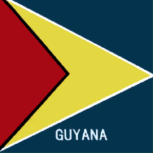 Charger l&#39;image dans la galerie, All Country Bandana Flags American Flag / United States of America/ Patriotic USA Flag / Grenada/Panama/LGBTQ/Peru/Guatemala/El Salvador/Guyana/Ecuador Bandana
